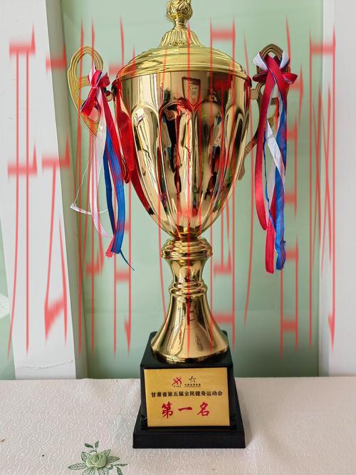 体育界的皇冠是什么, 揭秘体育界的最高荣誉，探讨各项运动中的至高无上的奖项