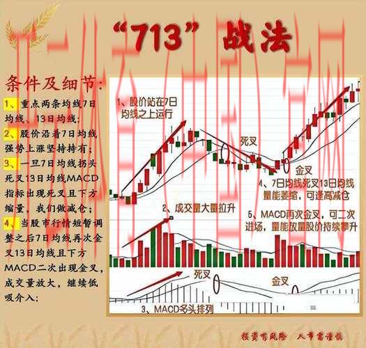 沙巴体育去皇冠HG713明智, 深入分析沙巴体育与皇冠HG713的明智结合策略